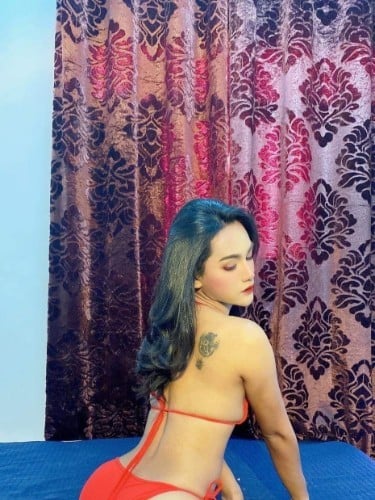 Escort trans Donut à Argenteuil