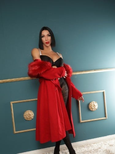 Escort trans Mulan à Castres
