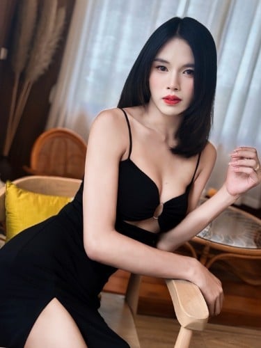 Escort trans Plamy à Toulouse